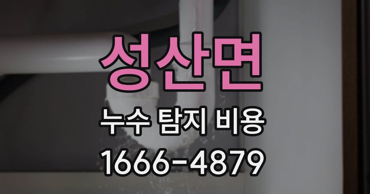 성산면 누수 탐지 비용