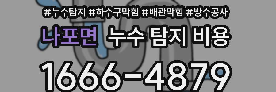 나포면 누수 탐지 비용