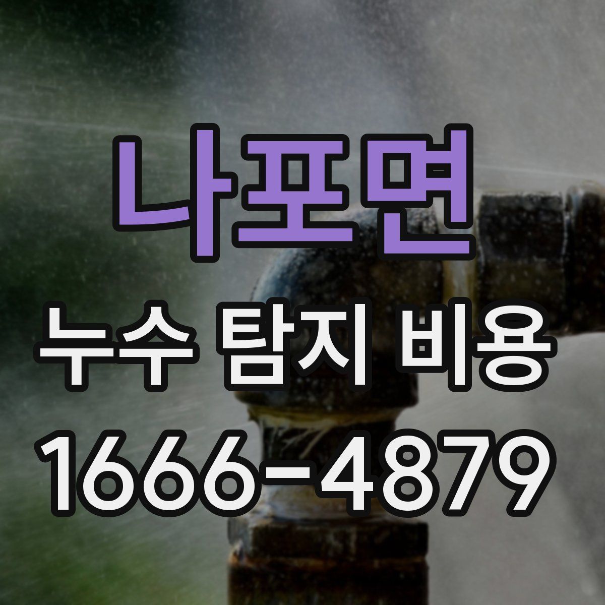 나포면 누수 탐지 비용
