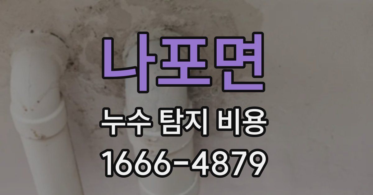 나포면 누수 탐지 비용