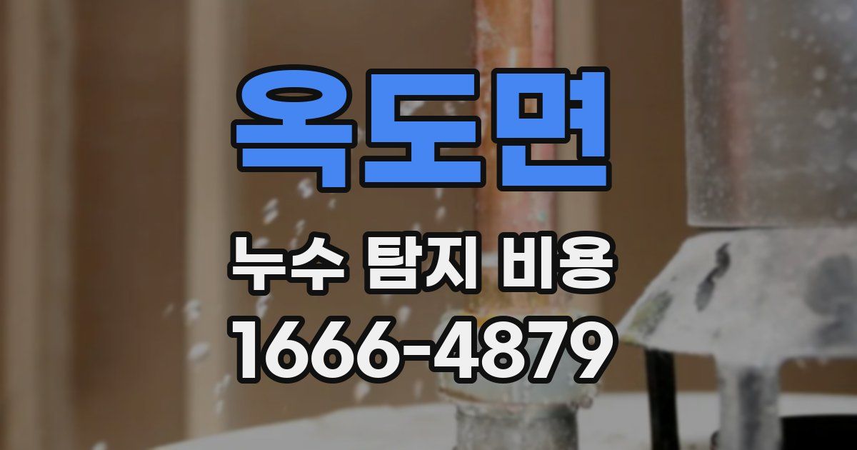 옥도면 누수 탐지 비용