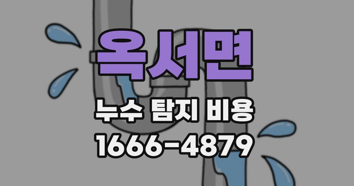 옥서면 누수 탐지 비용