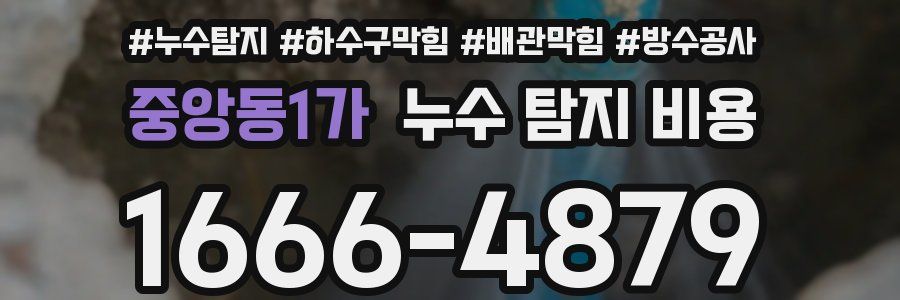 중앙동1가 누수 탐지 비용