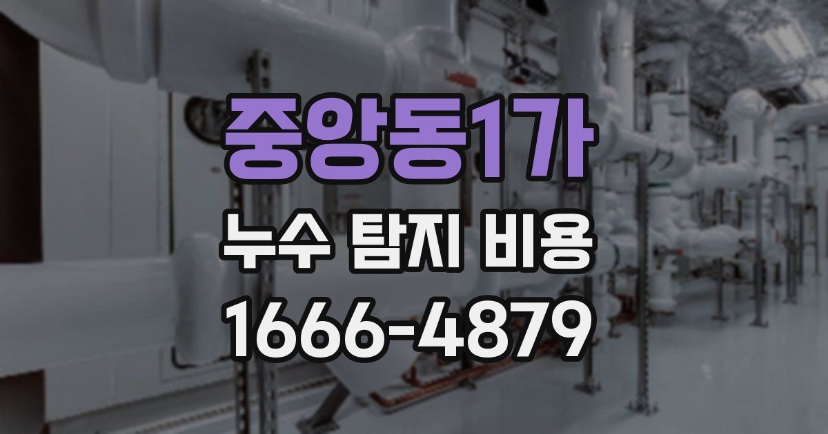중앙동1가 누수 탐지 비용