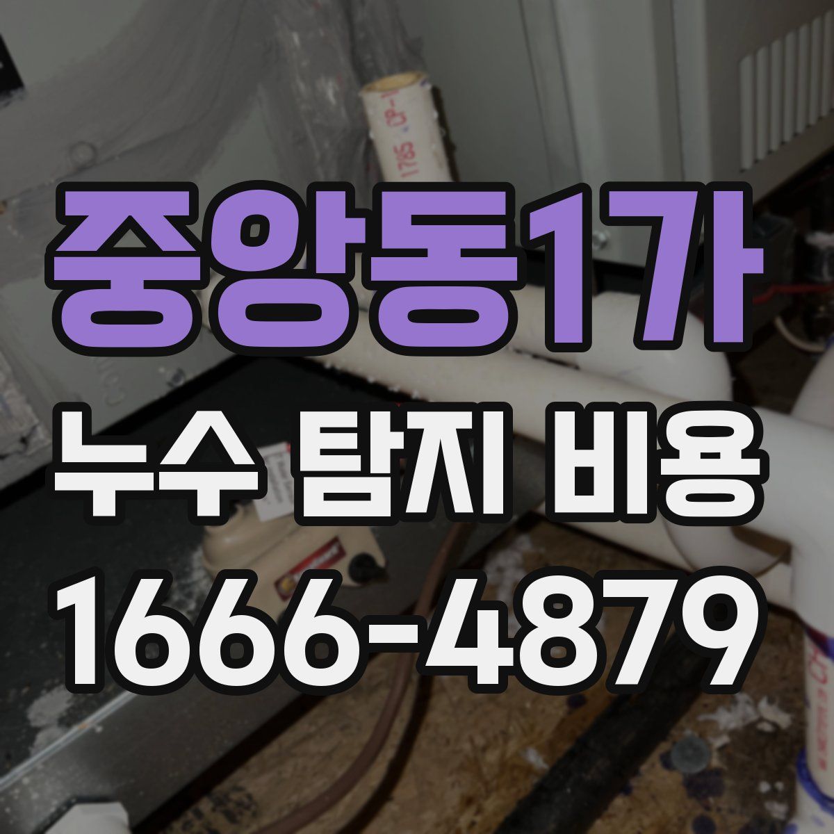 중앙동1가 누수 탐지 비용