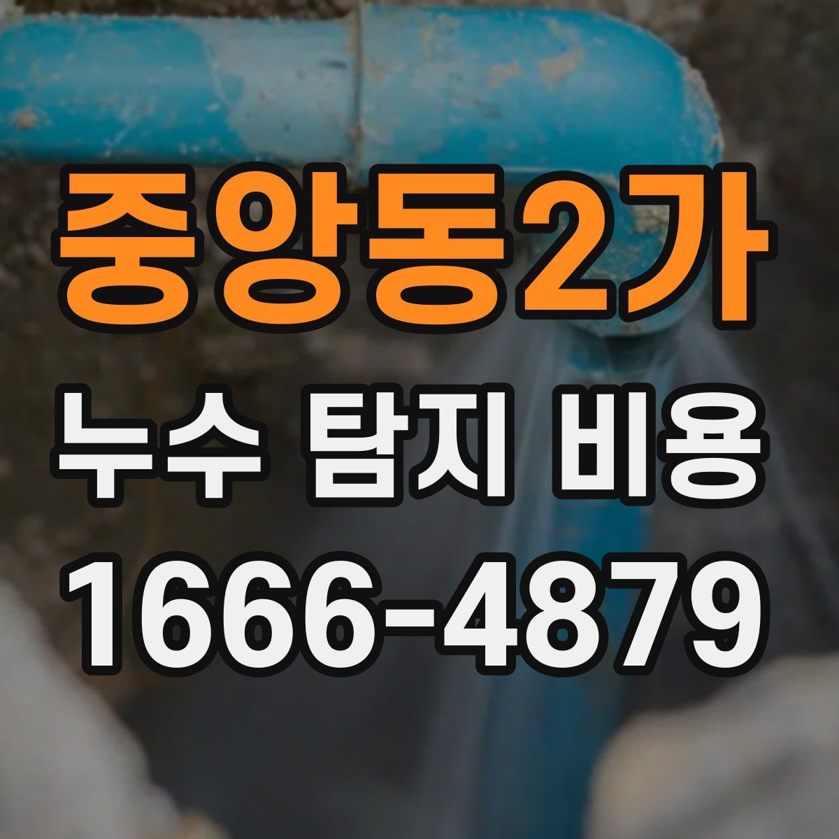중앙동2가 누수 탐지 비용