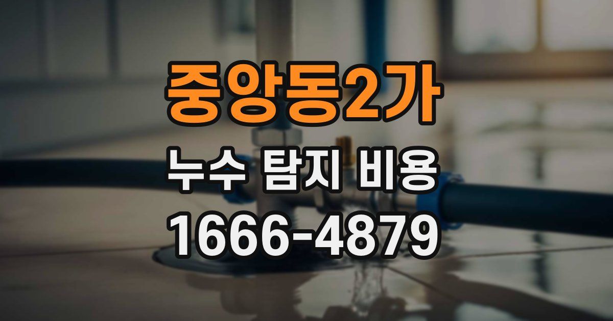 중앙동2가 누수 탐지 비용