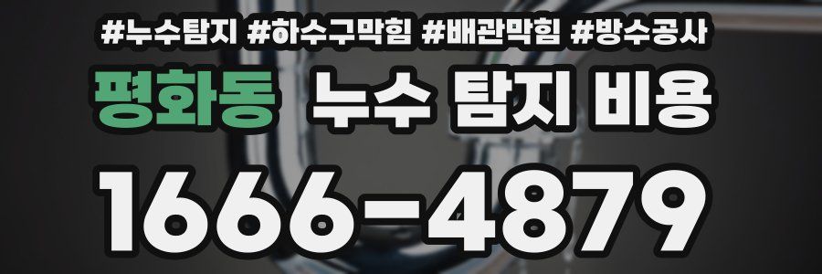 평화동 누수 탐지 비용