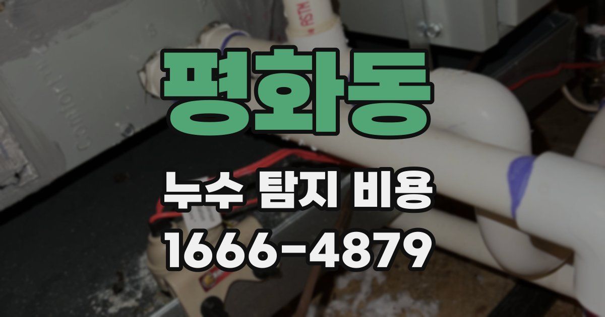 평화동 누수 탐지 비용
