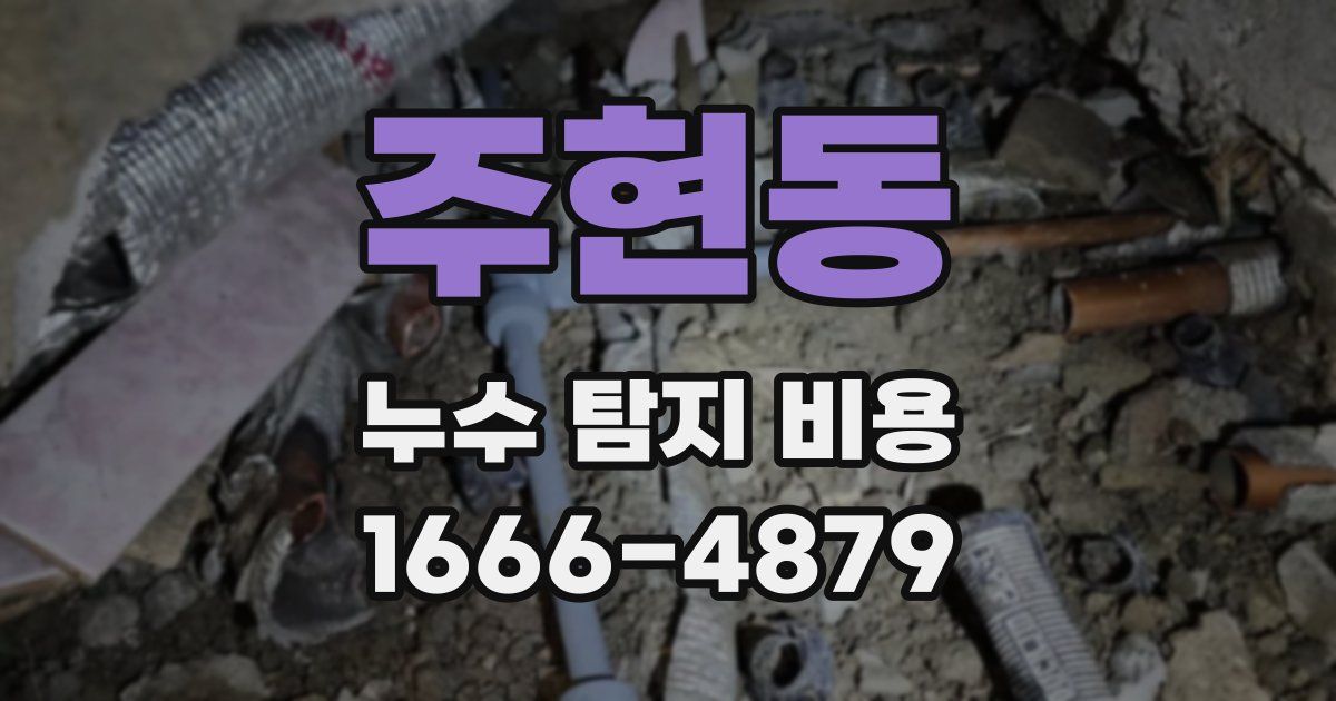 주현동 누수 탐지 비용