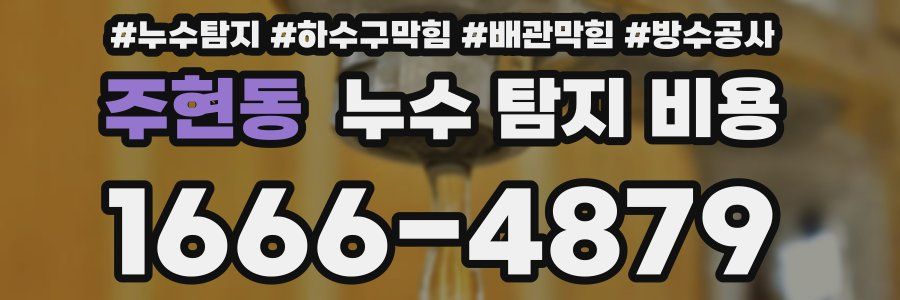 주현동 누수 탐지 비용