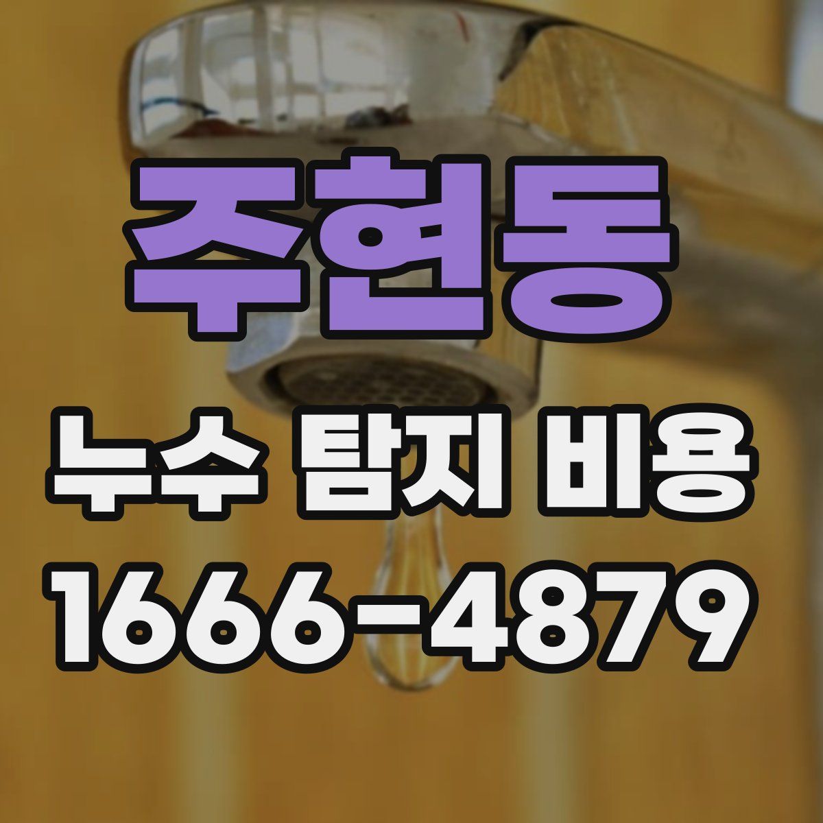주현동 누수 탐지 비용
