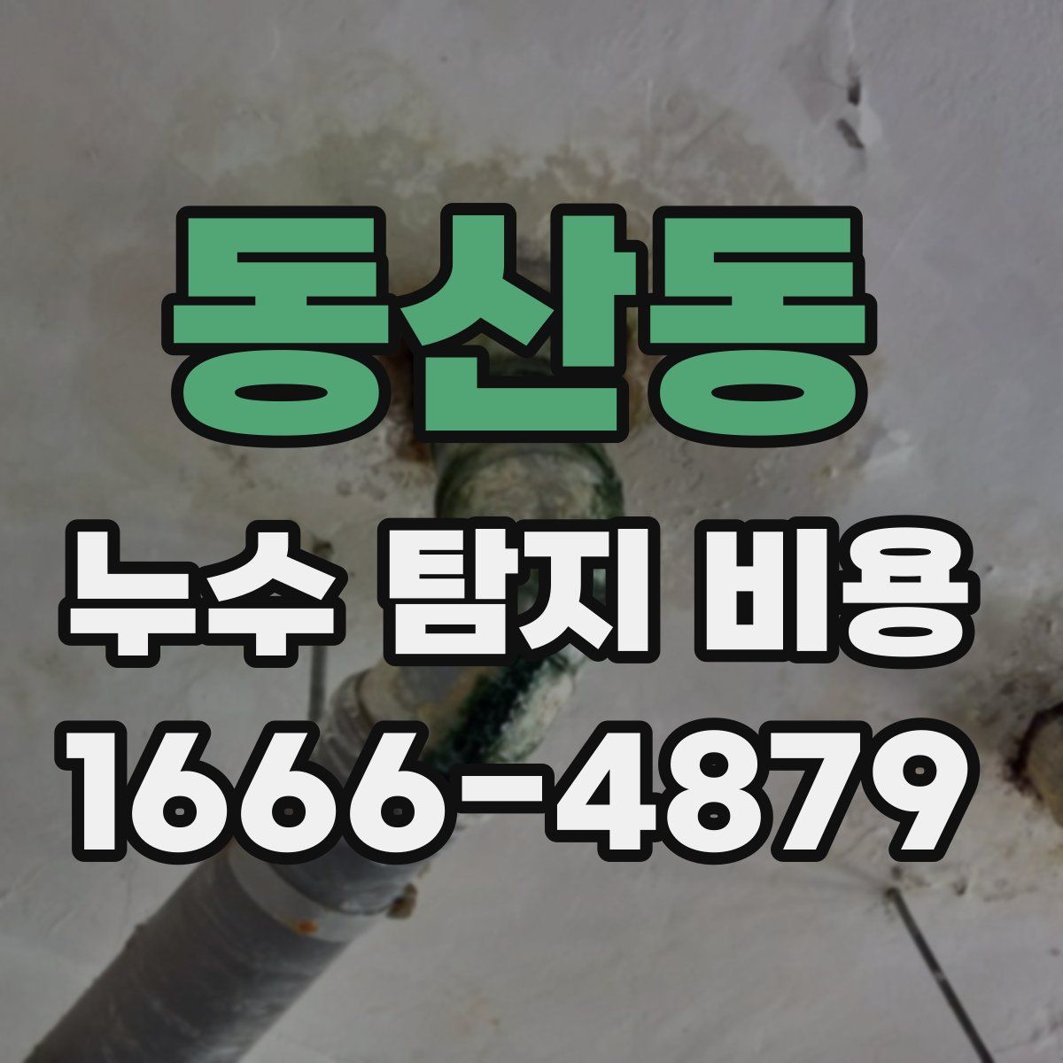 동산동 누수 탐지 비용