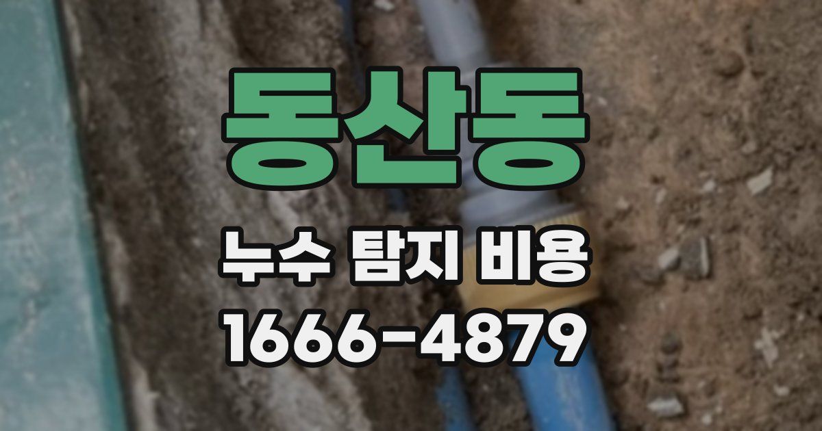 동산동 누수 탐지 비용