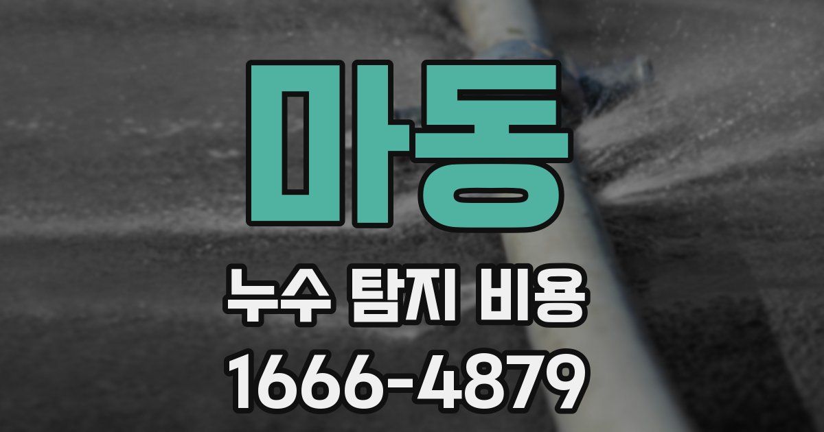 마동 누수 탐지 비용