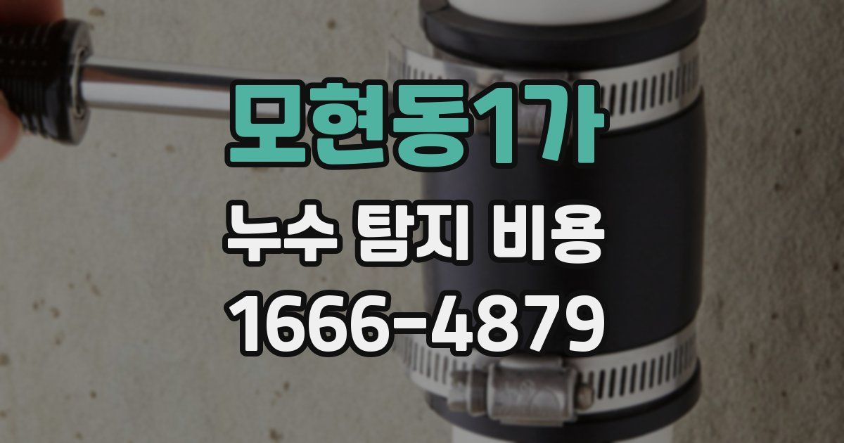 모현동1가 누수 탐지 비용