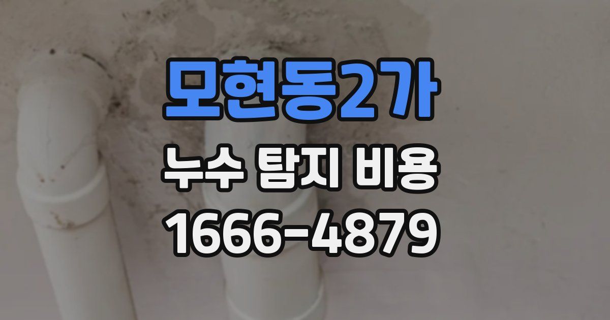 모현동2가 누수 탐지 비용