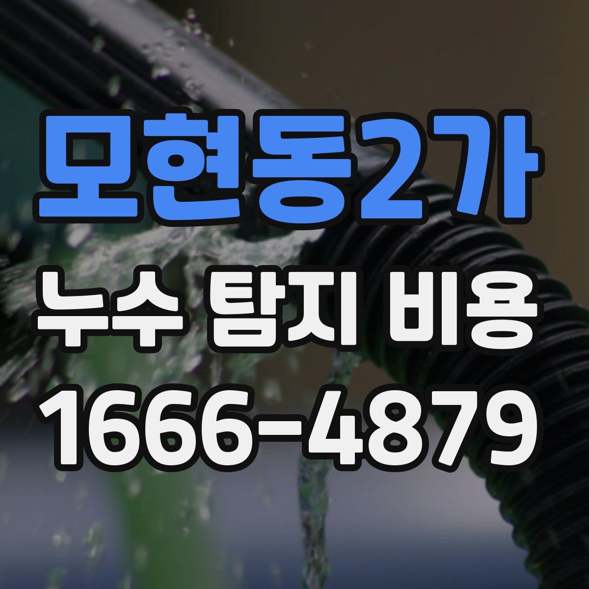 모현동2가 누수 탐지 비용