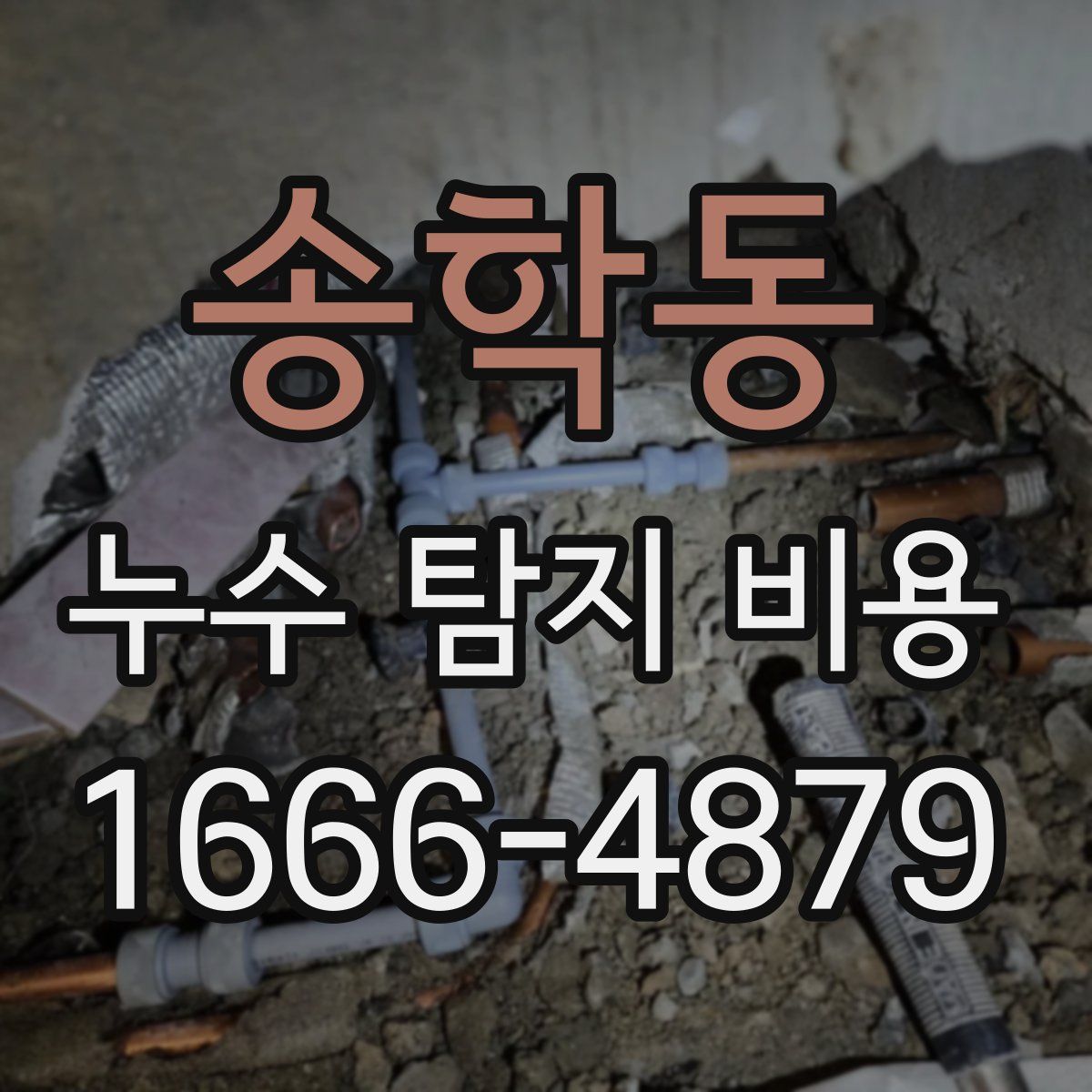 송학동 누수 탐지 비용