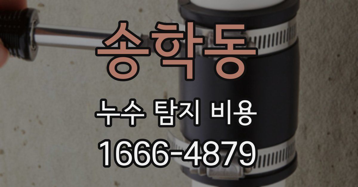 송학동 누수 탐지 비용