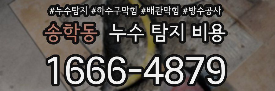 송학동 누수 탐지 비용