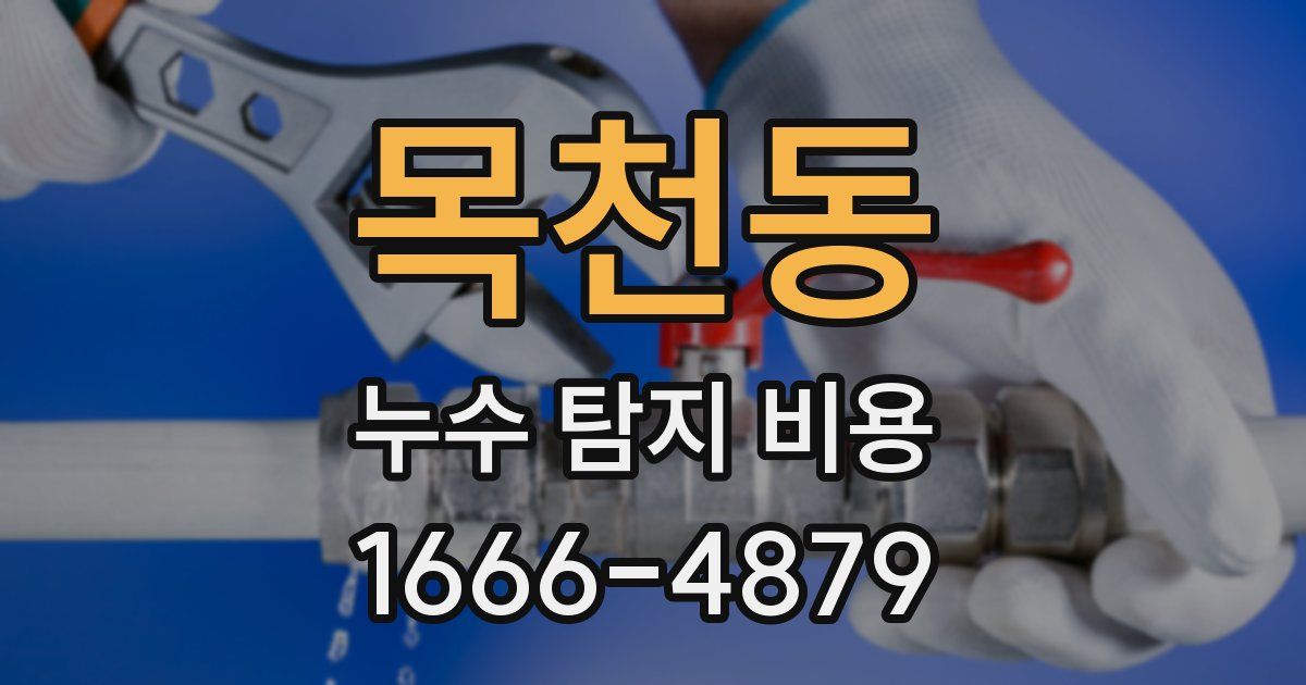 목천동 누수 탐지 비용