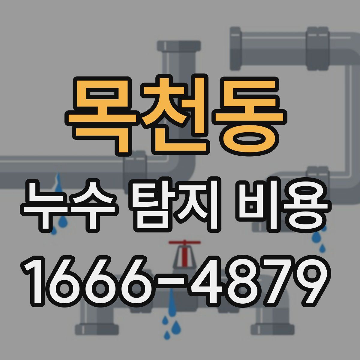 목천동 누수 탐지 비용