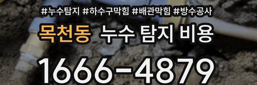 목천동 누수 탐지 비용