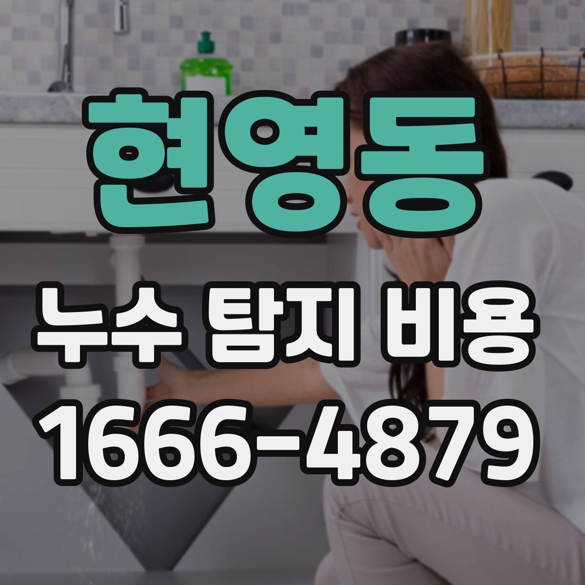 현영동 누수 탐지 비용