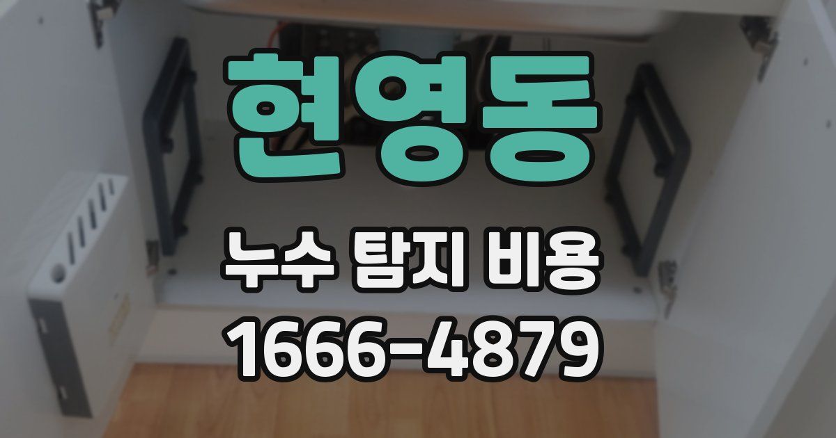 현영동 누수 탐지 비용