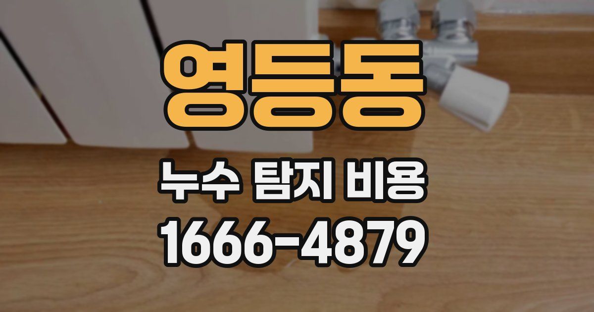 영등동 누수 탐지 비용