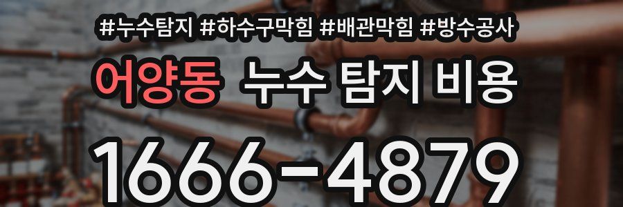 어양동 누수 탐지 비용