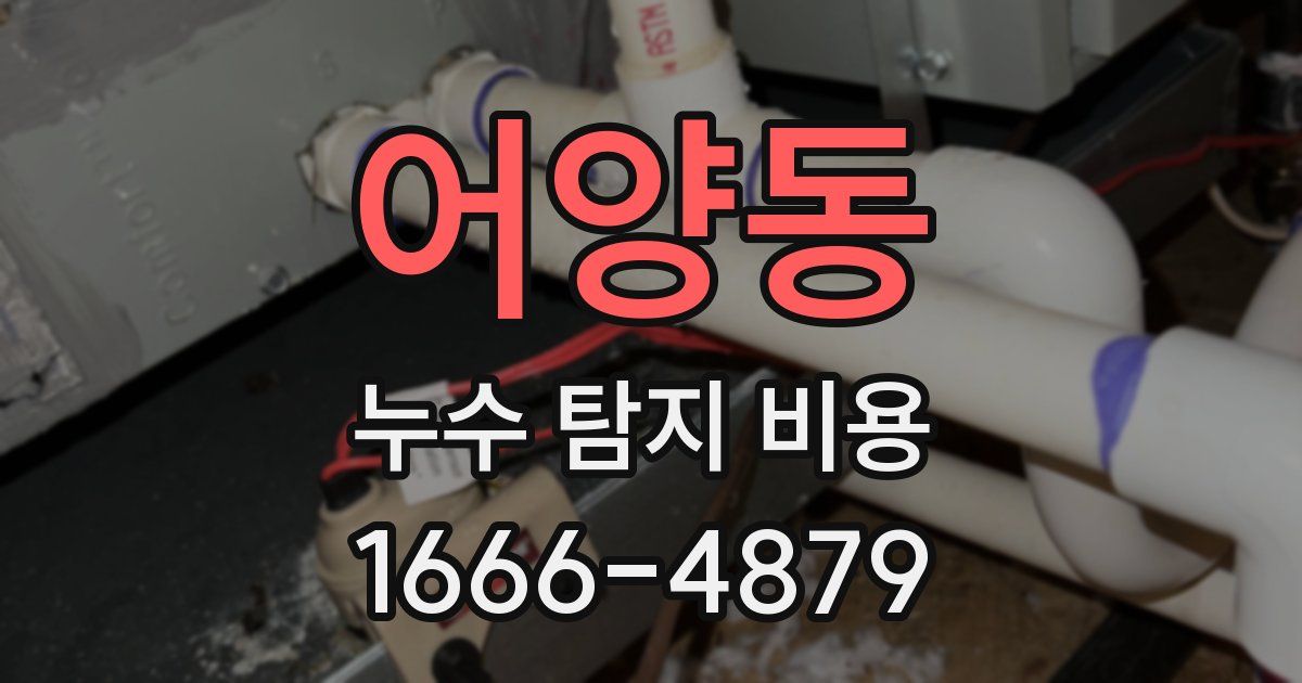 어양동 누수 탐지 비용