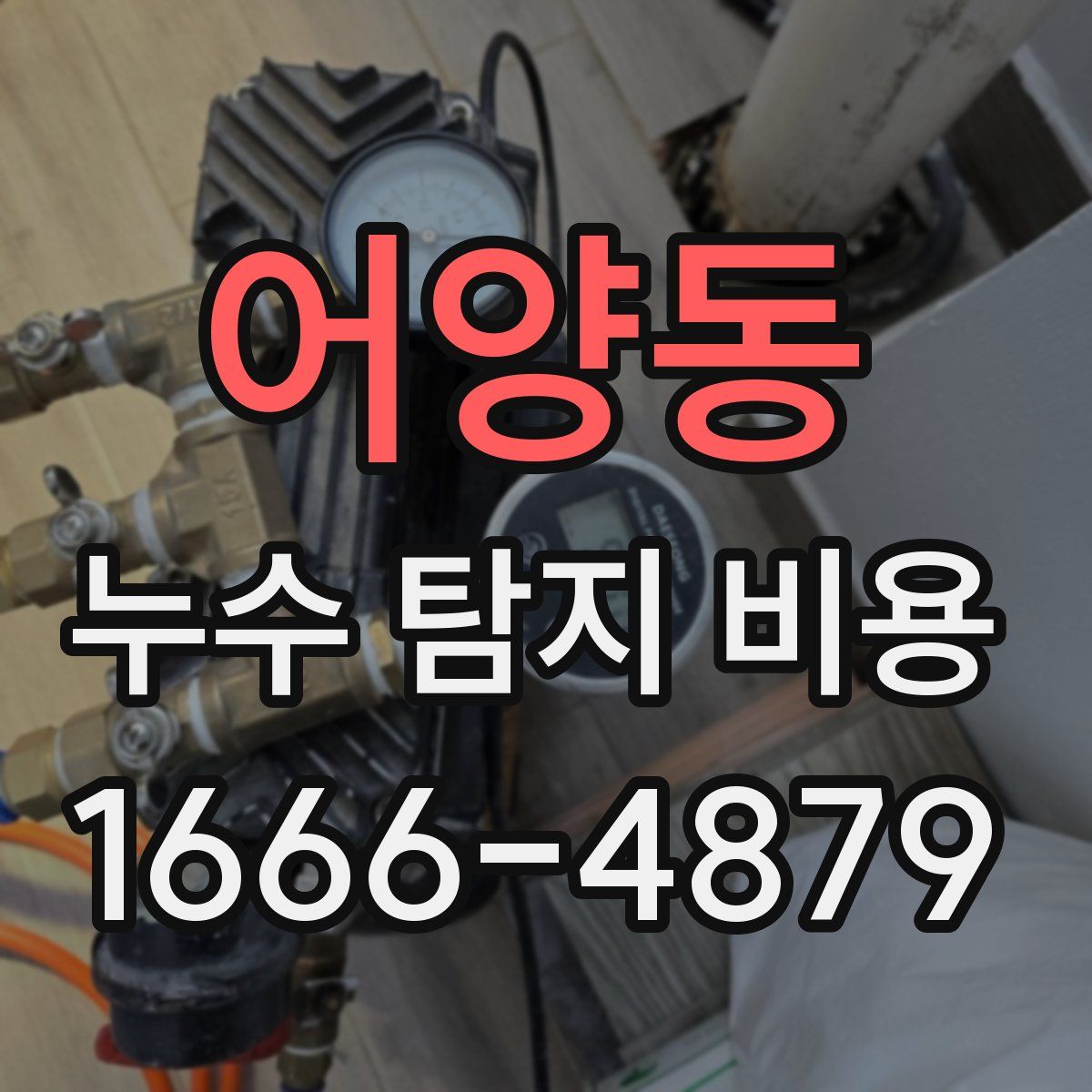 어양동 누수 탐지 비용