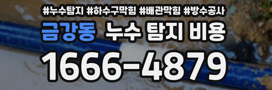 금강동 누수 탐지 비용