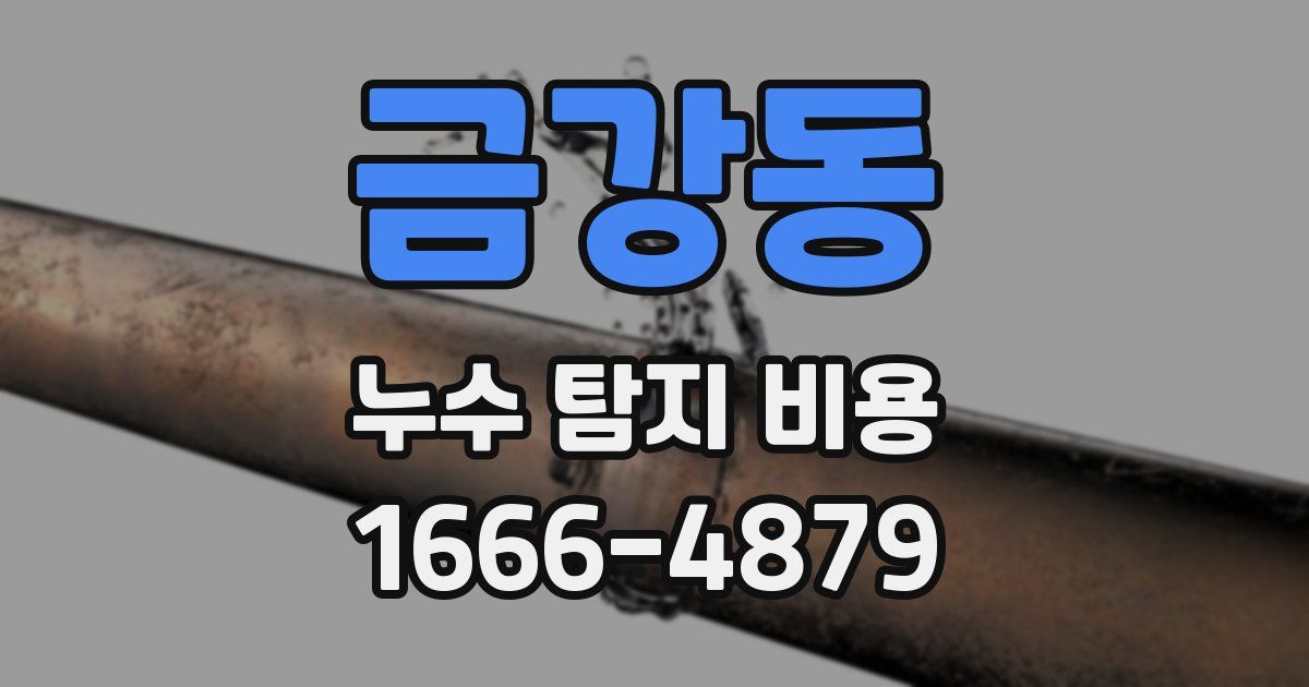 금강동 누수 탐지 비용