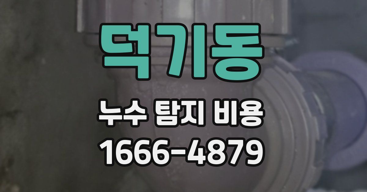 덕기동 누수 탐지 비용