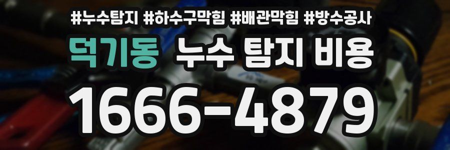 덕기동 누수 탐지 비용
