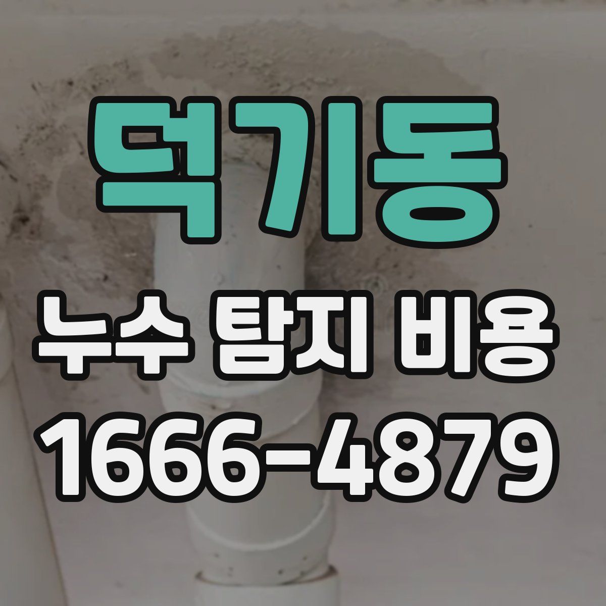 덕기동 누수 탐지 비용
