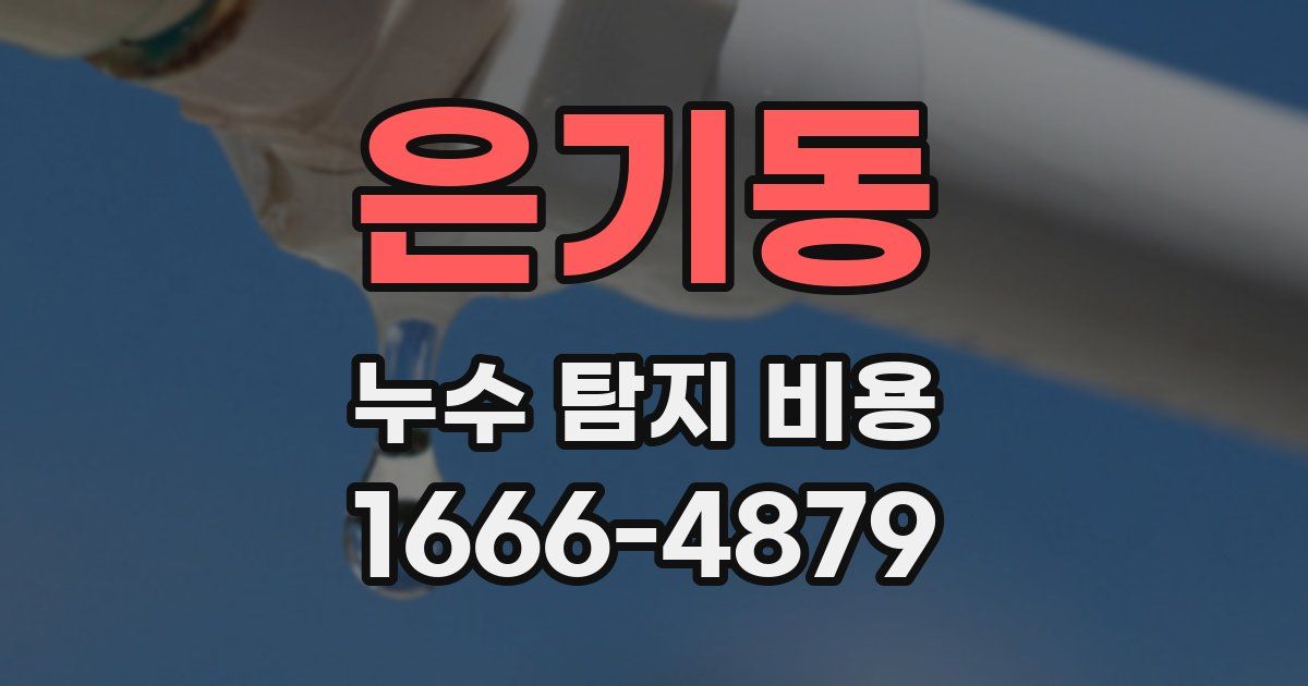 은기동 누수 탐지 비용