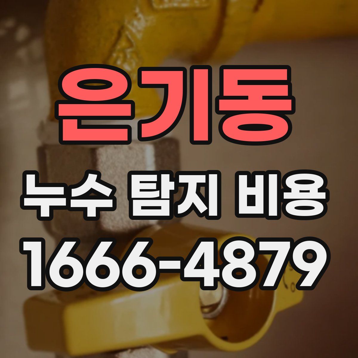 은기동 누수 탐지 비용