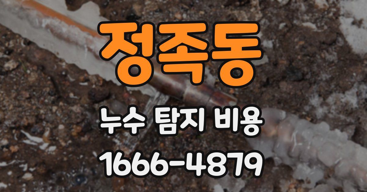 정족동 누수 탐지 비용