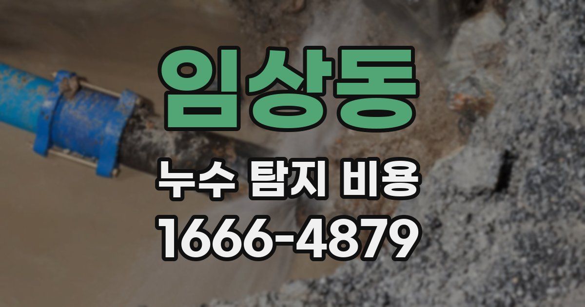 임상동 누수 탐지 비용