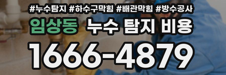임상동 누수 탐지 비용
