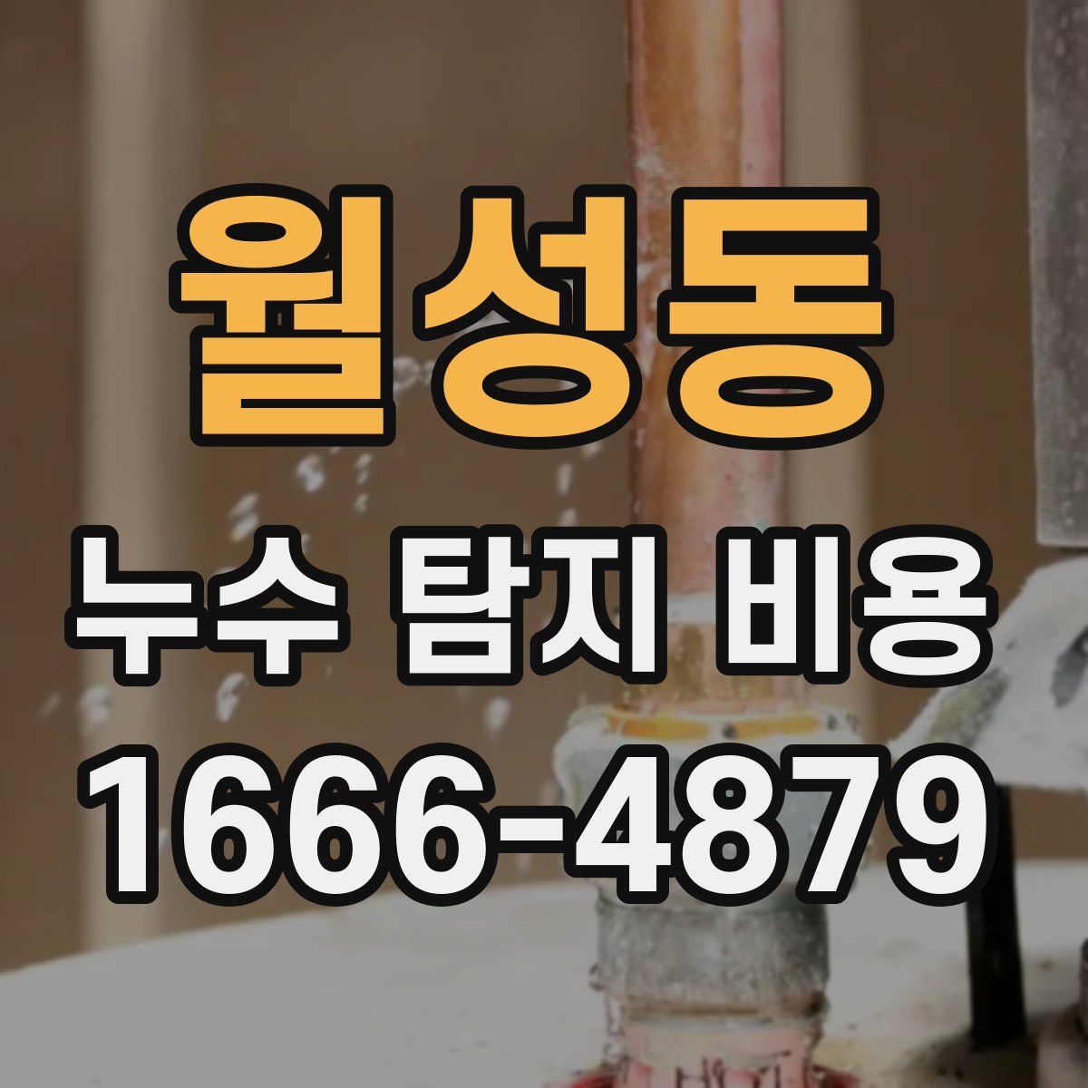 월성동 누수 탐지 비용