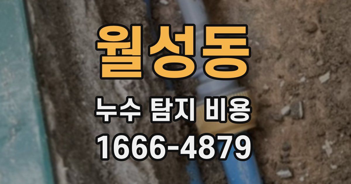 월성동 누수 탐지 비용