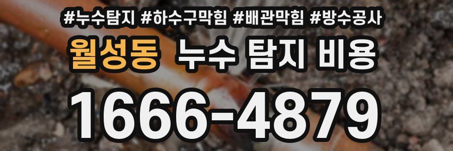 월성동 누수 탐지 비용