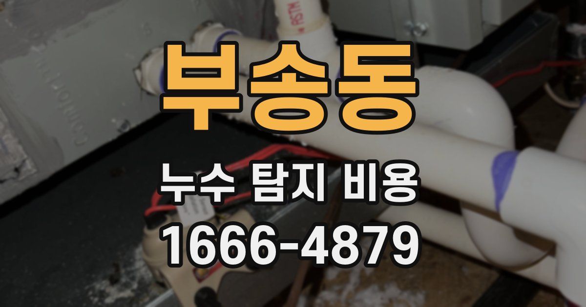 부송동 누수 탐지 비용