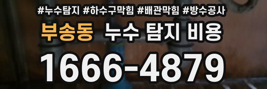 부송동 누수 탐지 비용