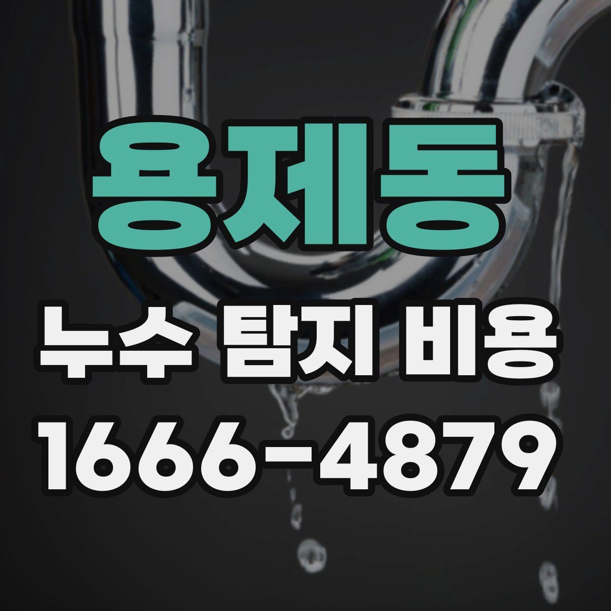 용제동 누수 탐지 비용